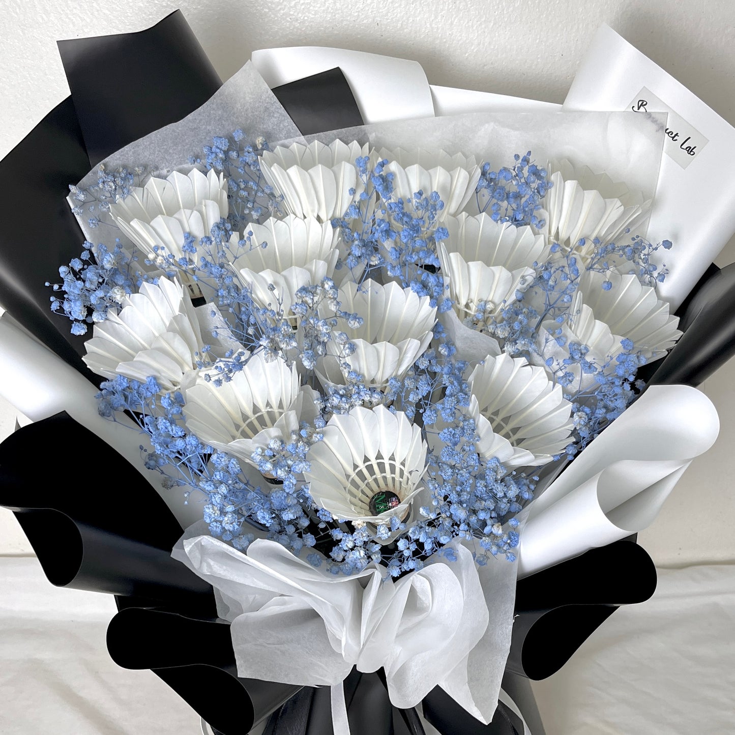 Shuttlecock Dreams