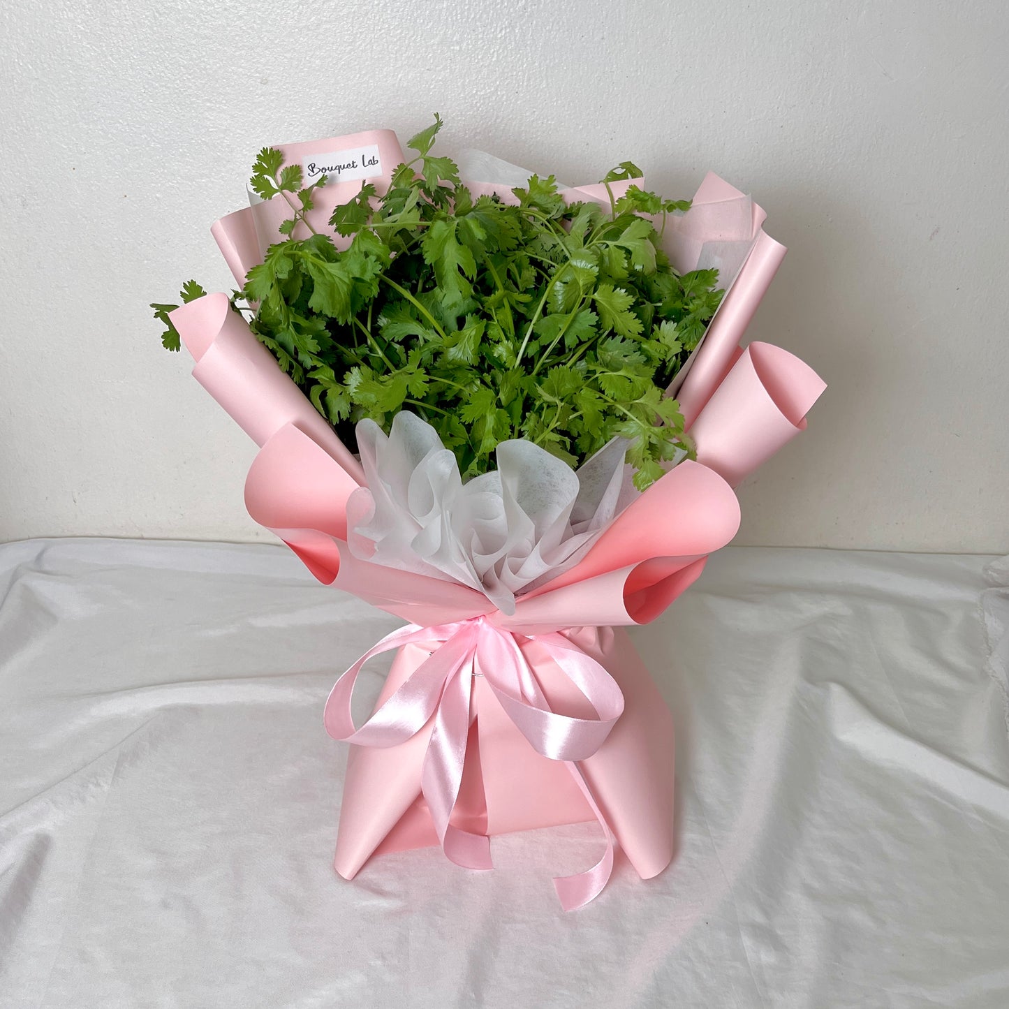 Coriander