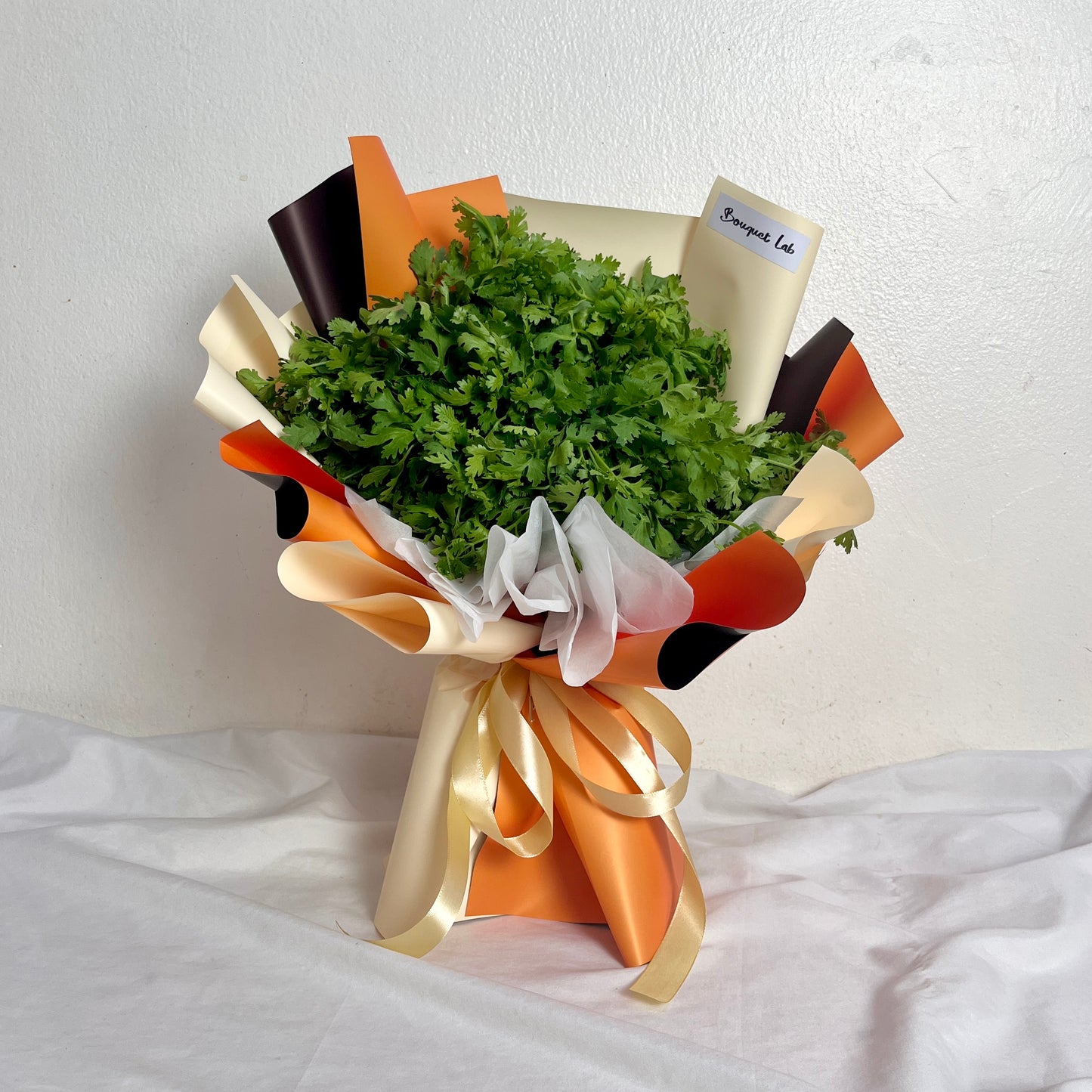 Coriander