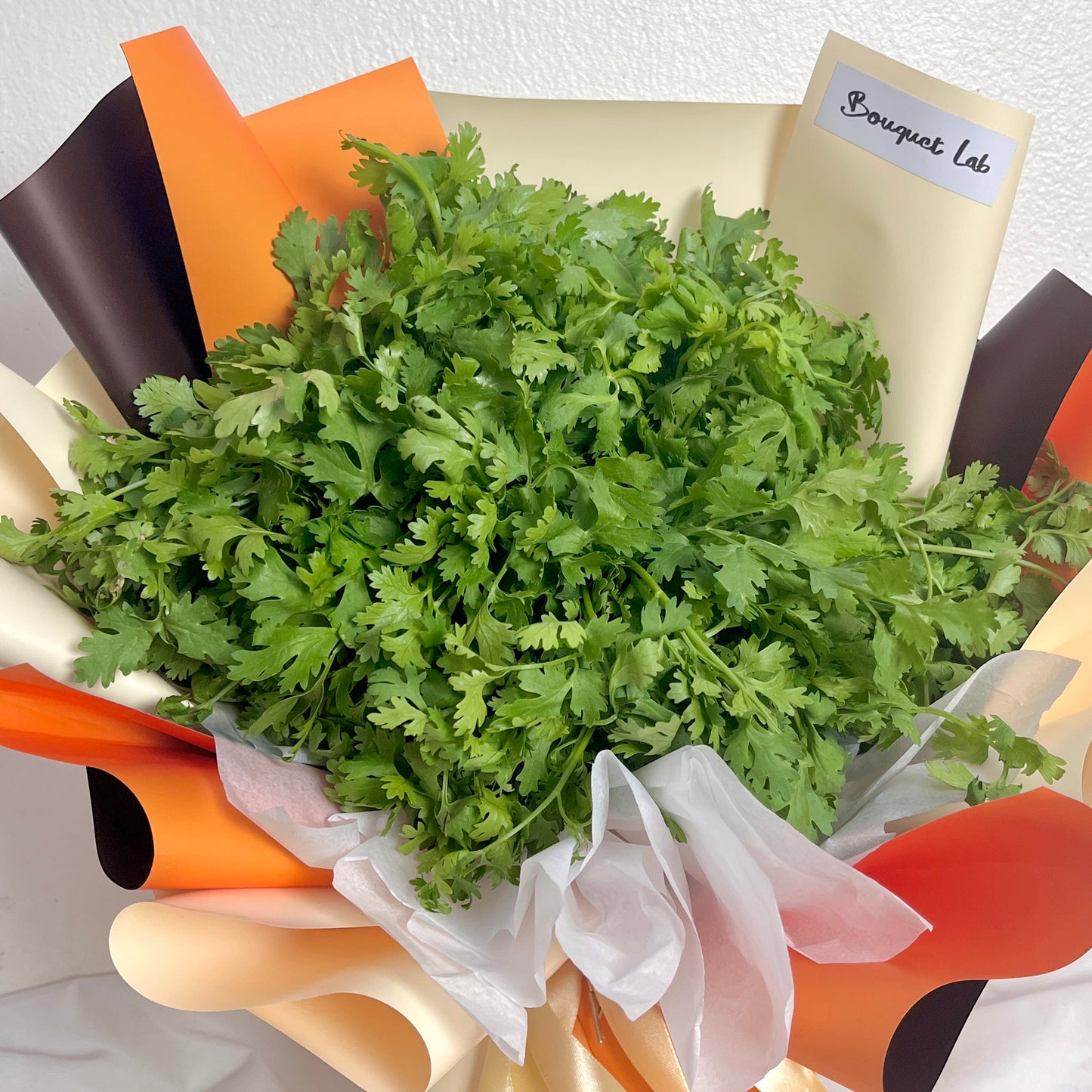 Coriander