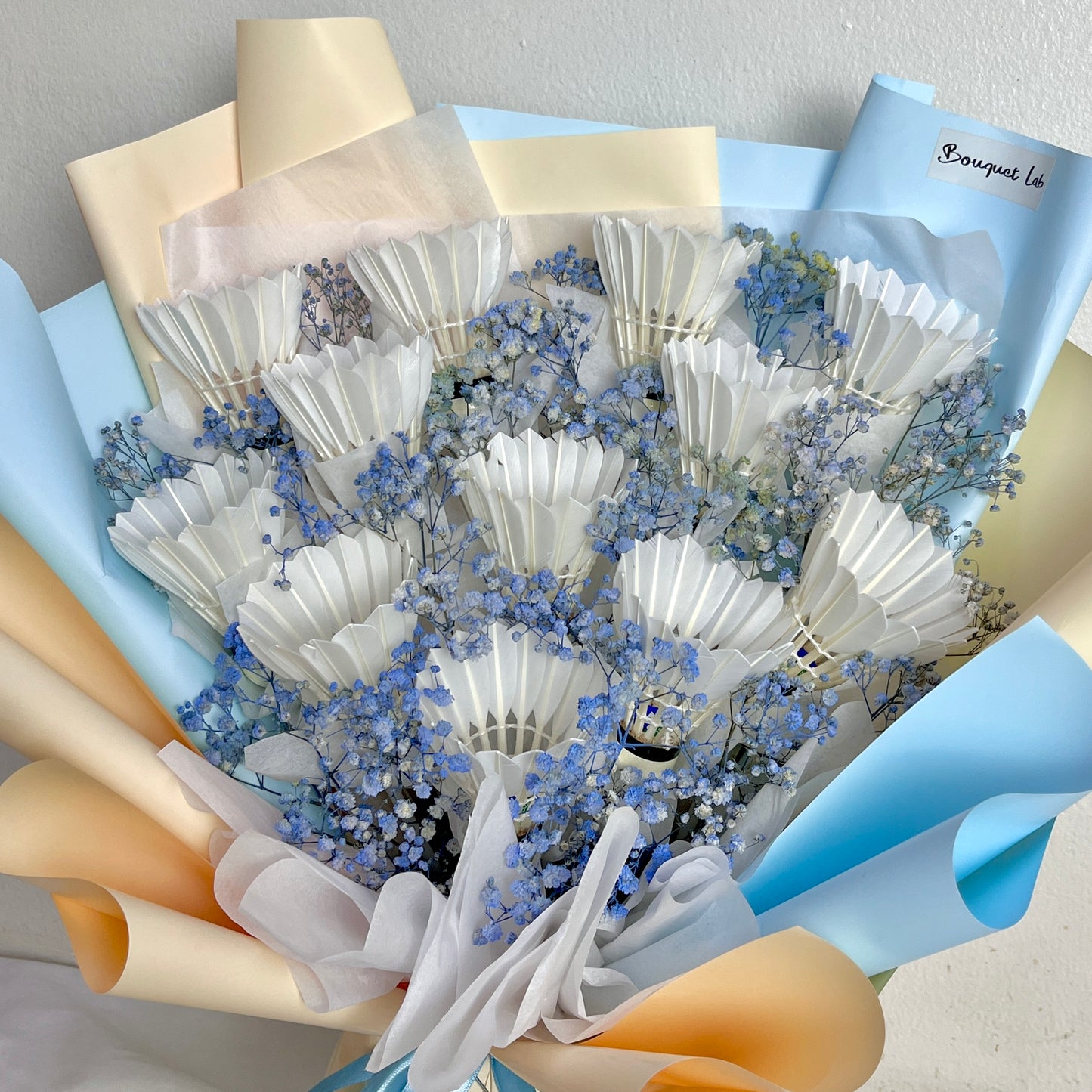 Shuttlecock Dreams