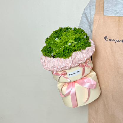 生财 Salad King